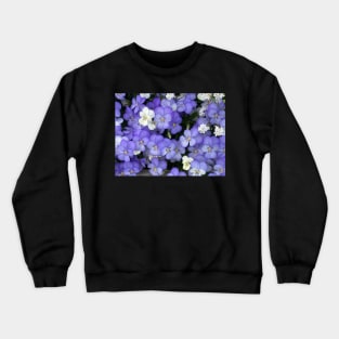 Purple Violas Crewneck Sweatshirt